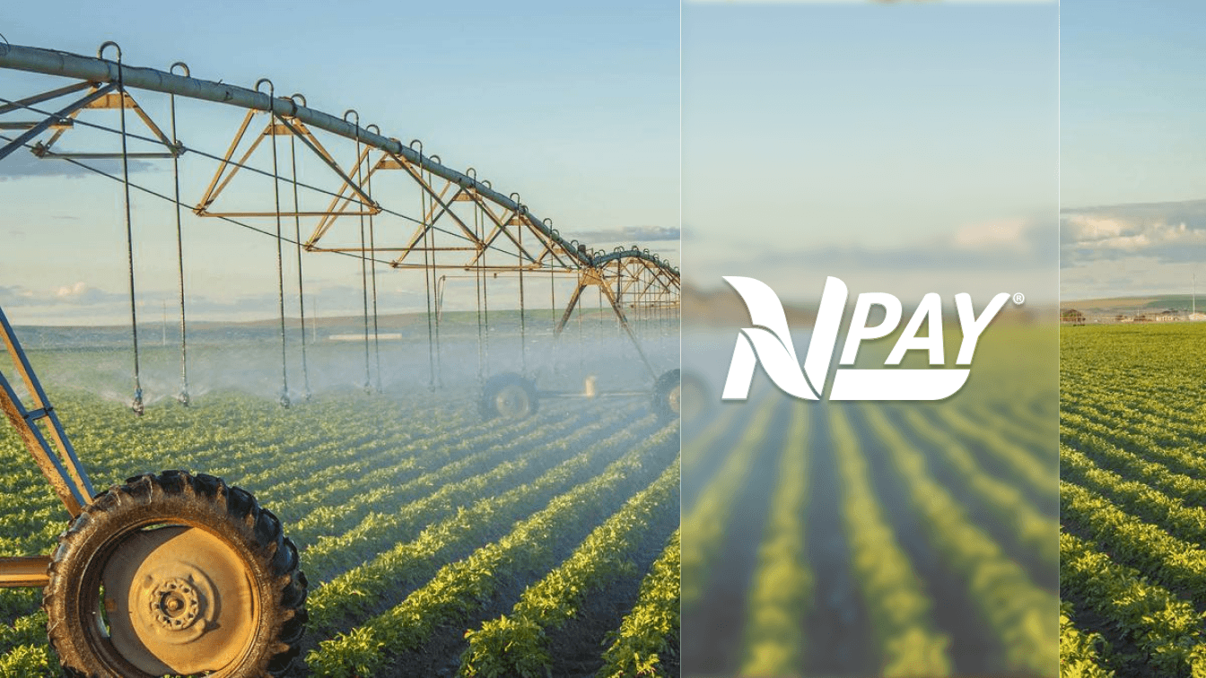 Nutrien-NPay-2
